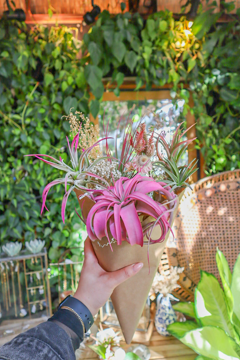 air plant bridal bouquet Air Plant Bouquet – Pamana Plantas
