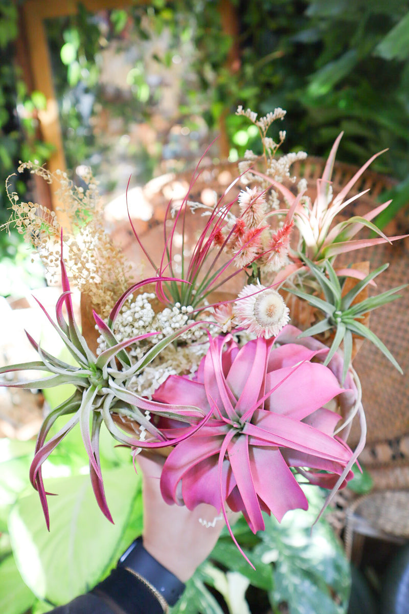 air plant flowers Air Plant Bouquet – Pamana Plantas