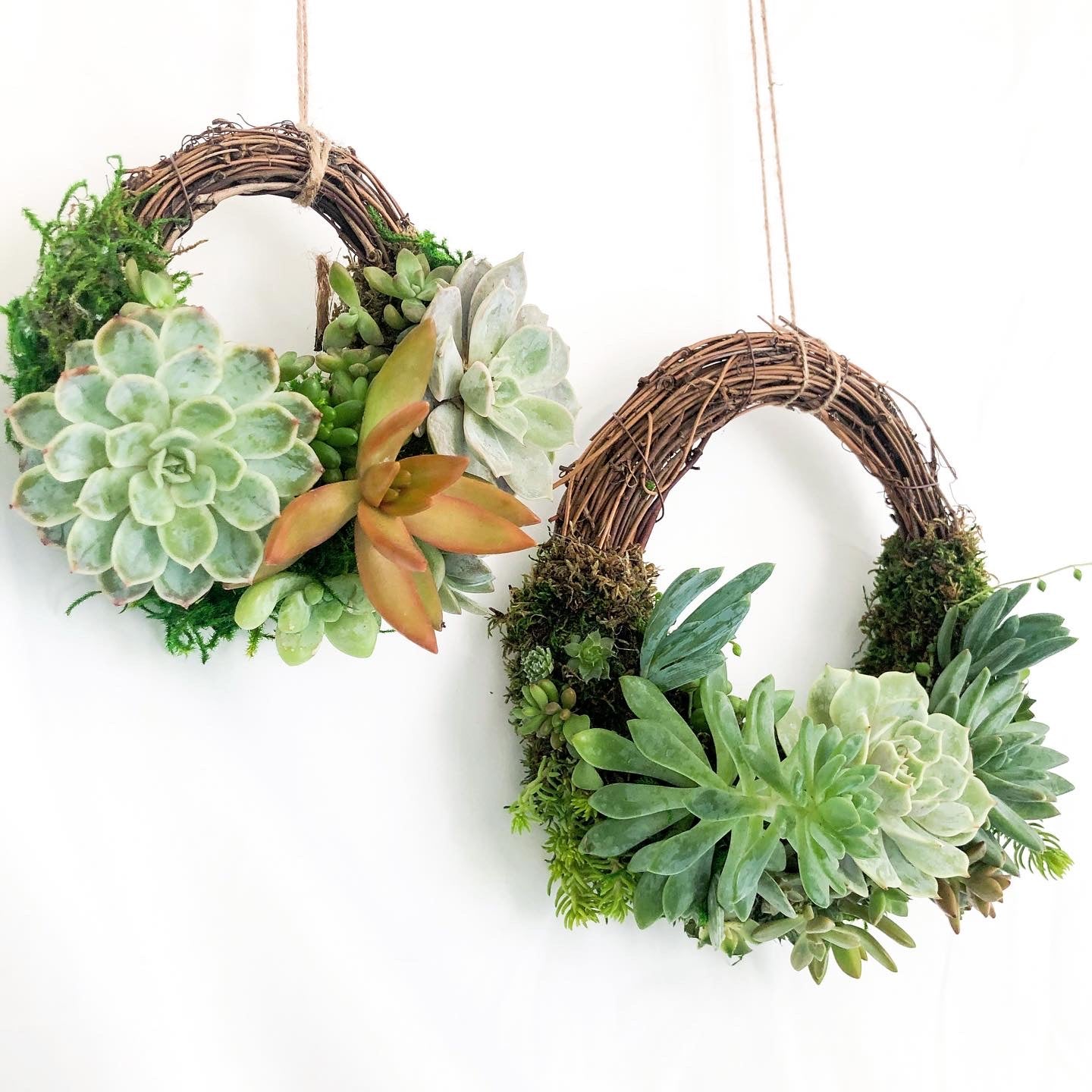succulent wreath workshop Succulent Wreath Workshop – Pamana Plantas