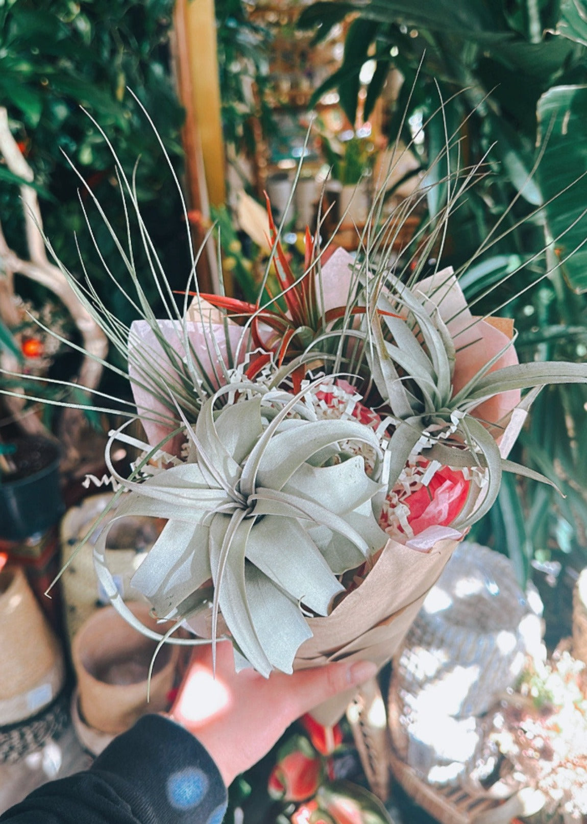 Airplant Bouquet