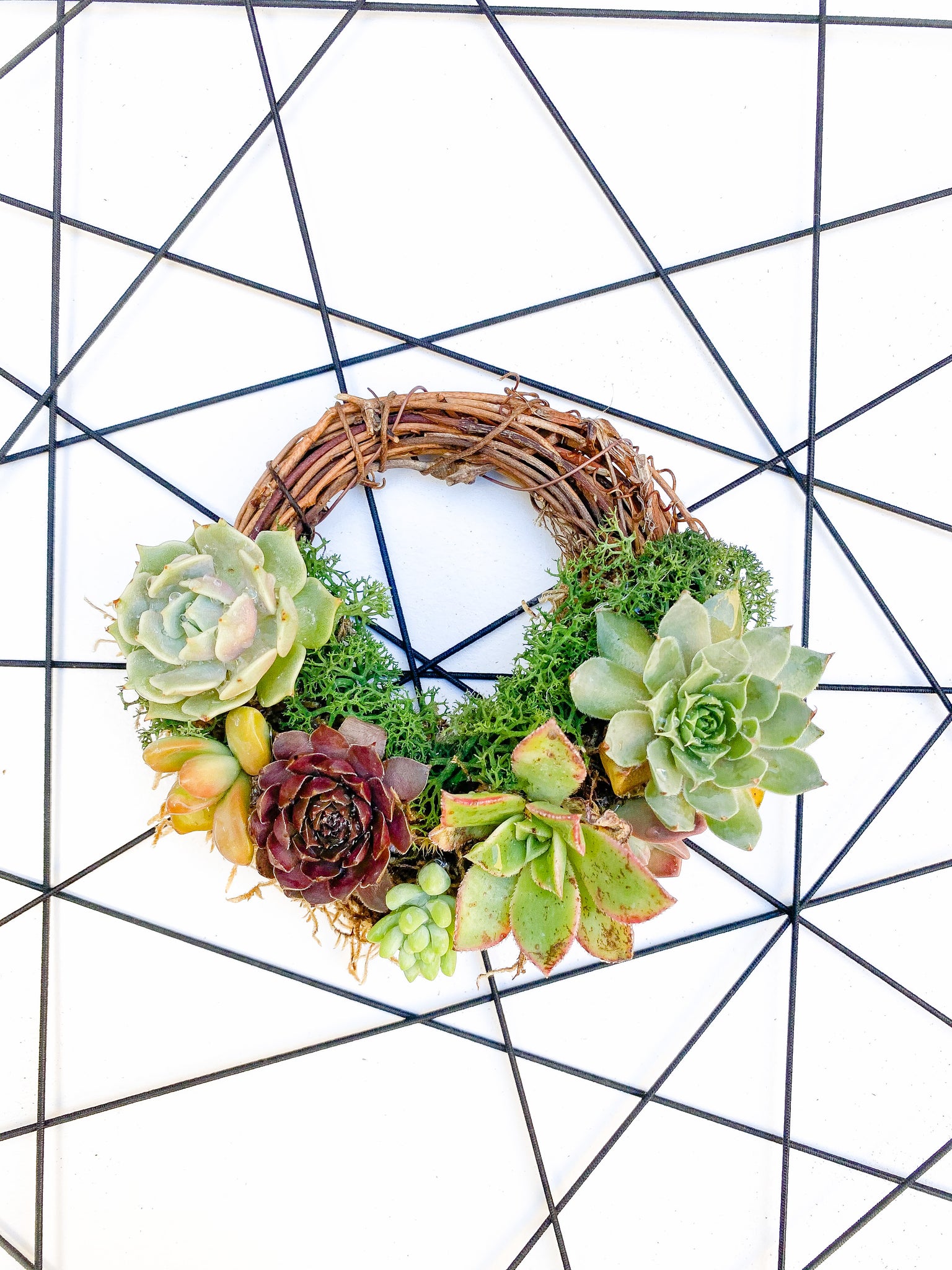 succulent wreath workshop Succulent Wreath Workshop – Pamana Plantas