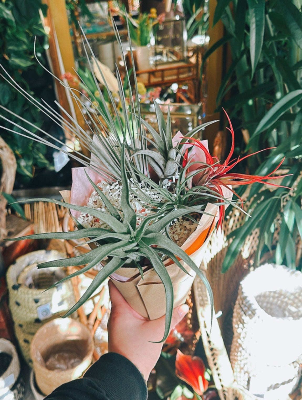 Airplant Bouquet